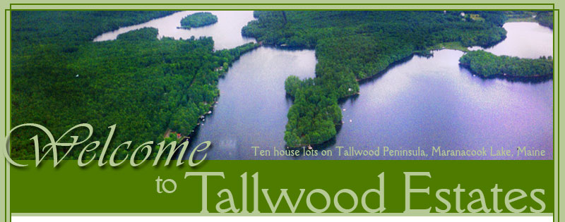 Tallwood Estates is 10 waterfront house lots for sale on Tallwood Peninsula on Maranacook Lake in Winthrop and Readfield, Maine.  Maranacook Lake offers deep water frontage, beautiful views, and water sports.