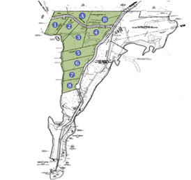 Click here to see a larger view and view information for each of the lots