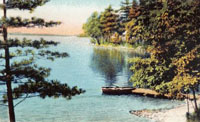 Tallwood Shoreline